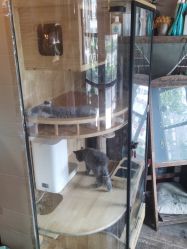 -青木造型HAIR·あおき髪を刈る潮人店