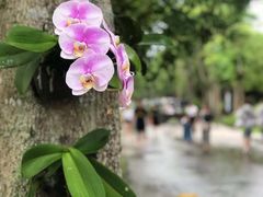-瑞穗牧场