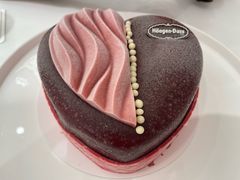 -哈根达斯(深圳海岸城店)