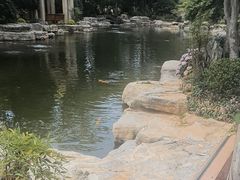 -青岛鑫江温德姆酒店