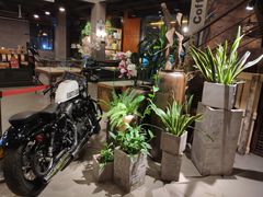 -猫屎咖啡(陶溪川店)