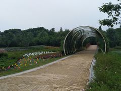 -同里国家湿地公园