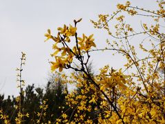 -滨河世纪广场公园