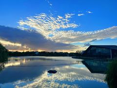 -上海长兴岛郊野公园