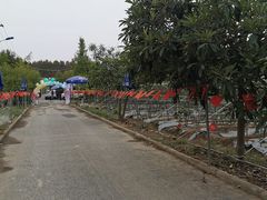 -武汉世外桃源农庄