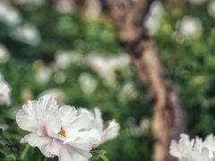 -幕燕滨江·长江观音景区