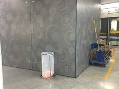 -东方体育中心(地铁站)