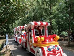 -长白岛森林公园