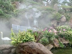 -罗红摄影艺术馆