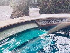-苏州湾·王焰温泉