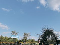 -同里国家湿地公园