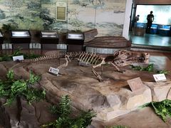 -自贡恐龙博物馆