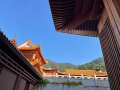 -深圳仙湖植物园