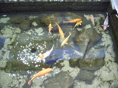 -泉乐坊步行街(烟酒特产平价超市店)