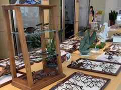 -Eziwish眼镜·蔡司授权店