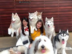 -TrueLove @ Neverland (Husky Cafe)