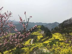 -石潭村