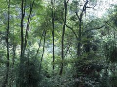 -青城山