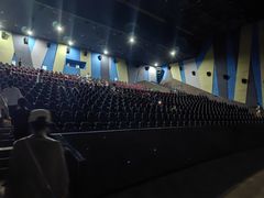 -天幕新彩云国际影城(激光巨幕店)