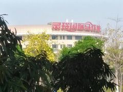 -灵玲国际马戏城
