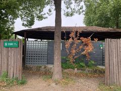 -苏州太湖西山岛开心农场