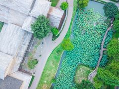 -乌村
