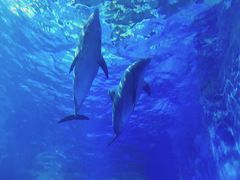 -多彩贵州城极地海洋世界