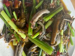 -春涛餐馆(下坝店)