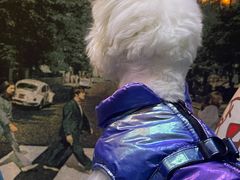 -My Way Town买味堂·东南亚餐厅(亦庄店)