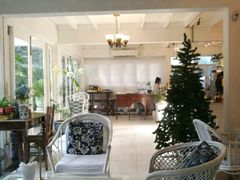 -Fern Forest Cafe