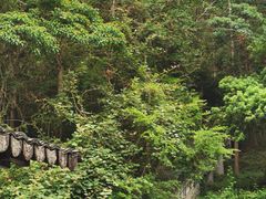 -龙湾潭国家森林公园