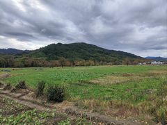 -塔川景区