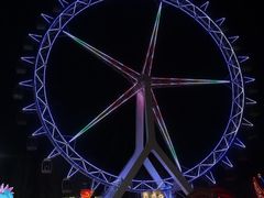 -北戴河集发农业梦想王国