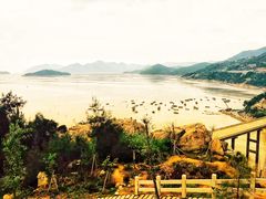 -北岐滩涂