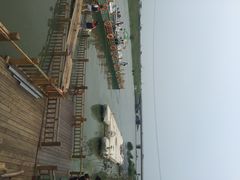 滨湖湿地公园-合肥滨湖国家森林公园