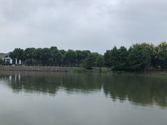 -尚贤河湿地