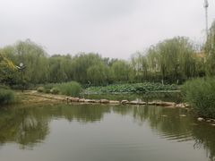 -南翠屏公园