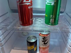 -北京歌华开元大酒店