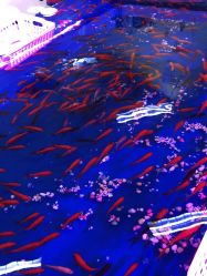 -孩子王童乐园(西安盛龙店)