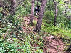 -北京鹫峰国家森林公园