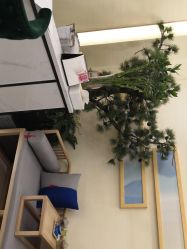 -芳朵美容养生SPA