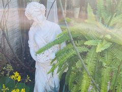 -Jo's Garden