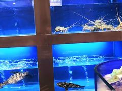 水产区-金时代顺风大酒店(临港百联店)