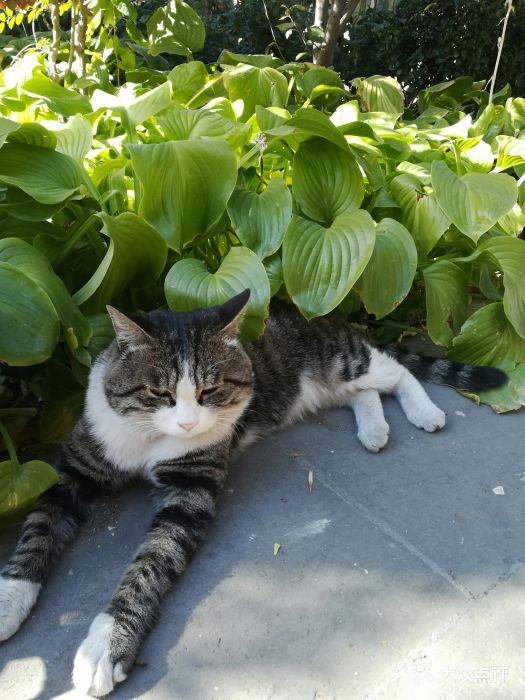 正阳书局图片 - 第27张