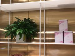 -奈雪的茶(新天地广场PRO店)