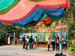 -芦仙山景区-飞越丛林探险乐园