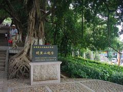 -胡里山炮台