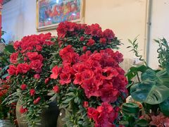 -双季花艺园艺市场(浦东店)