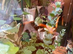 -About Bistro關於·泰式家庭料理