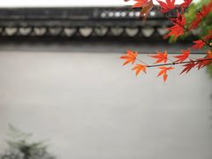 -秋霞圃